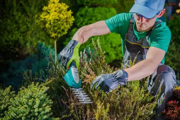 landscaping services Whitehouse